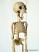 Esqueleto-marioneta-am003e|La-Galeria-Marionetas-y-Titeres-checos|munecas-marionetas.com